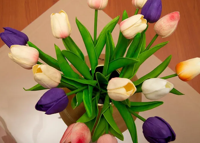 Superb View Appartement