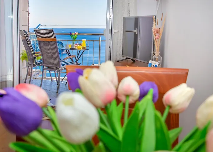 Appartement Superb View