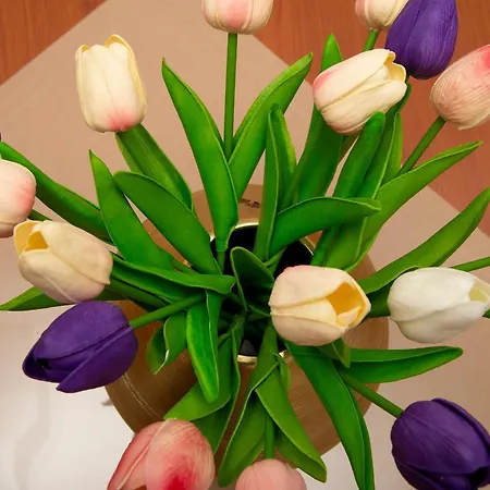 Superb View Apartmán